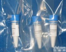 <em>甲胎蛋白</em>调节蛋白1<em>抗体</em>,ZHX2<em>抗体</em>价格