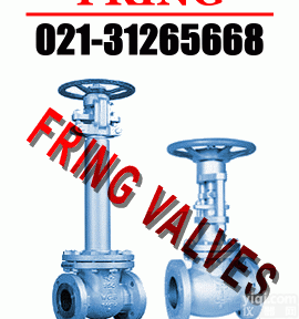 进口波纹管<em>闸阀</em>，<em>德国</em>福林进口波纹管<em>闸阀</em>，<em>德国</em><em>阀门</em>有限公司