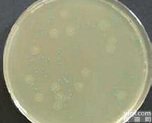 <em>刚果</em>红<em>水溶液</em>(1%)>科研用试剂