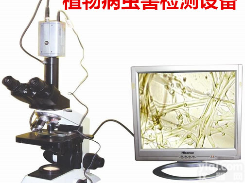 连电脑植物病害检测仪 、北京哪有 植物病害检测仪 、<em>植物病虫害检测设备</em>病害检测仪、<em>植物病虫害检测设备</em>