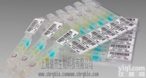 <em>延胡索酰乙酰乙酸水解酶</em>抗体