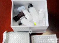 <em>胰岛素</em>生长<em>因子</em>,人未磷酸化类<em>胰岛素</em>生长<em>因子</em>结合蛋白-1ELISA试剂盒