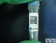 <em>雌激素</em>诱导的<em>转录</em><em>调制器</em>抗体