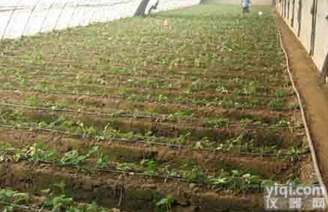 <em>河北</em><em>威县</em><em>滴灌</em>带价格|<em>滴灌</em>厂家