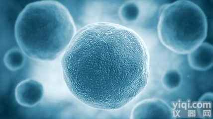 人肾<em>皮层</em><em>上皮</em>细胞完全<em>培养基</em>