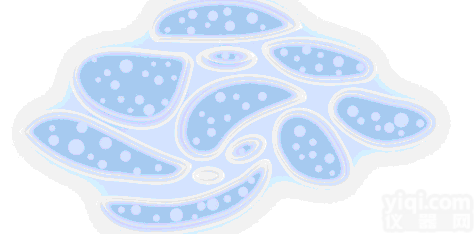 <em>人冠状动脉内皮细胞完全培养基</em>