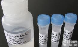 <em>小鼠</em>抗<em>表皮</em>生长因子<em>抗体</em>