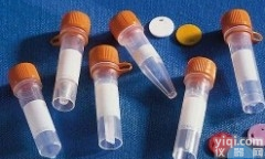 <em>小鼠</em>抗<em>表皮</em>生长因子<em>抗体</em>