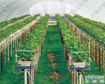 <em>托普</em>农业物<em>联网</em>在设施农业中的应用