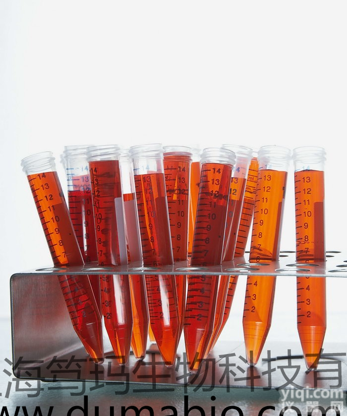 ε-聚赖氨酸多聚赖氨酸EPSILON-POLYLYSINE