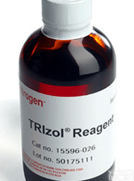 Zinc gluconate厂家,<em>葡萄糖</em>酸锌<em>哪家</em>好