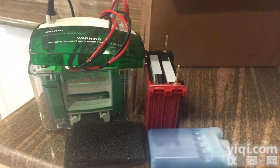 <em>伯乐</em>Mini Trans-Blot <em>转印</em>槽