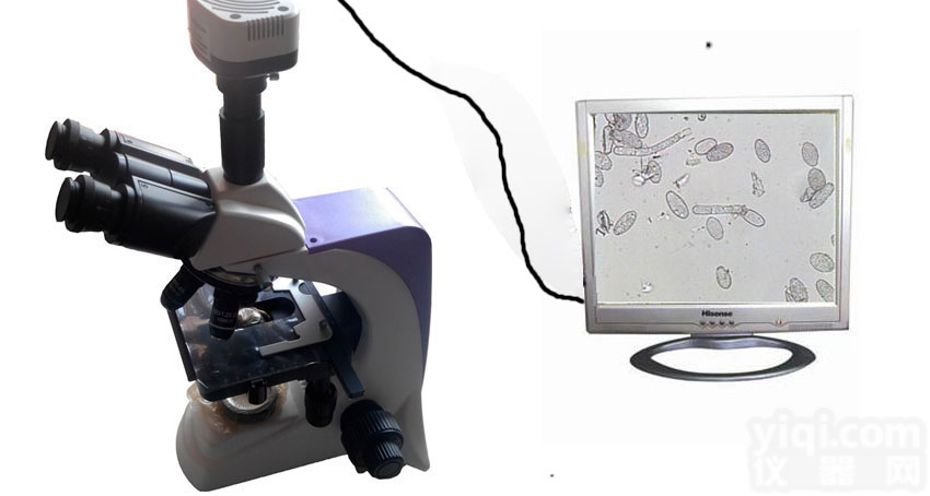 植物<em>病虫害</em><em>检测设备</em>AX-II可货到付款，蔬菜<em>病害</em><em>检测设备</em>厂家直销