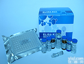 vista大鼠白细胞介素8（IL-8）elisa<em>试剂</em>盒