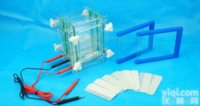 DYCZ-28C型双板夹芯式垂直<em>电泳仪</em>(槽)(小号)<em>生产厂家</em>直销