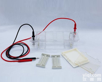 <em>电泳仪</em><em>生产厂家</em>,DYCP-31C型琼脂糖水平<em>电泳仪</em>(槽)(小号)