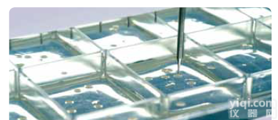 QTray 培养板 <em>Vented</em> QTray <em>with</em> cover, polystyrene