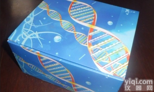 大鼠alpha-<em>Fodrin</em><em>抗体</em>IgG/IgA ELISA<em>试剂盒</em>