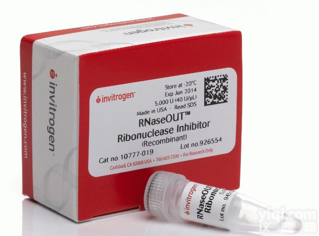 <em>BP酶 </em>Invitrogen™
