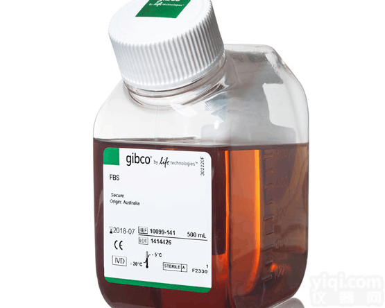 Fetal Bovine Serum, Qualified, Australia <em>Origin</em>  <em>血清</em>