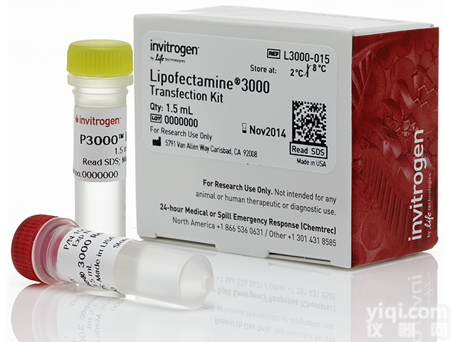 <em>Lipofectamine</em>® 3000 <em>Transfection</em> <em>Reagent</em>  脂质体3000 life