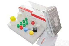 药物残留检测<em>试剂盒</em>（<em>莱克</em><em>多巴胺</em>，克伦特罗，沙丁安醇）