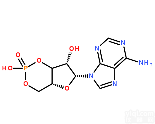 环<em>磷酸</em>腺苷,<em>60</em>-92-4,化学试剂