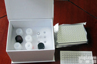 <em>血管</em><em>紧张</em>素价格,人<em>血管</em><em>紧张</em>素Ⅱ(ANG-Ⅱ)ELISA<em>试剂盒</em>