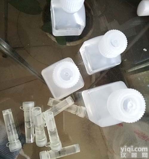 <em>P27蛋白免疫共沉淀分析试剂盒</em>