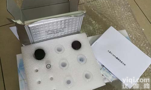 DyLight800标记F（ab）’2片段化的山羊抗人IgG Fc端二抗（经牛、马、<em>小鼠</em>、兔<em>血清</em>蛋白/<em>小鼠</em>IgG1<em>吸附</em>）