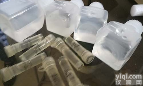 <em>德克萨斯</em>红TR标记驴抗人二抗IgG(经牛、鸡、山羊、<em>豚鼠</em>、仓鼠、马、小鼠、兔、大鼠、绵羊血清吸附）