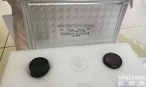 抗视黄酸相关孤儿<em>受体</em>γ<em>单克隆</em><em>抗体</em>（克隆号4G419）