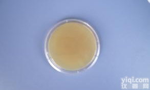 <em>对硝基苯酚</em>,<em>100</em>-02-7