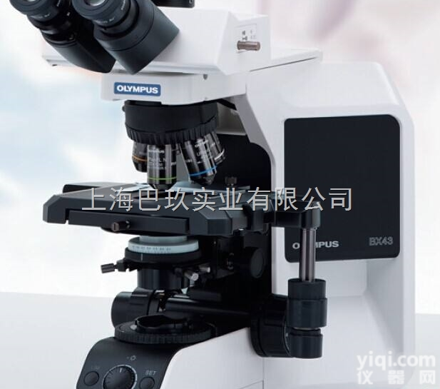 双目生物显微镜，<em>奥林巴斯CX31生物显微镜</em>，生物显微镜成像系统