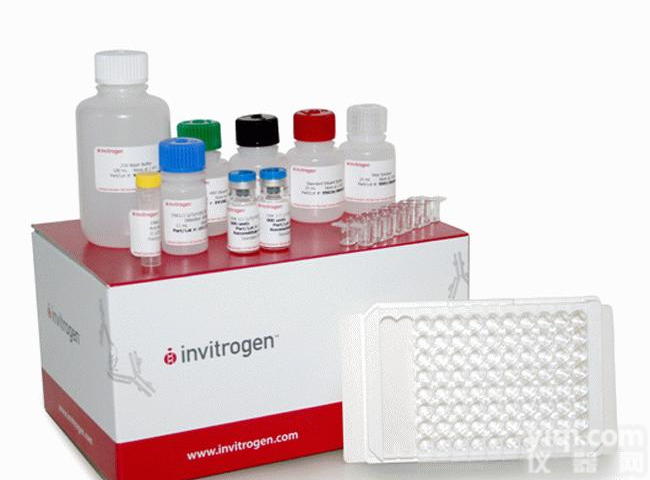 大鼠丝氨酸/<em>苏氨酸</em>蛋白<em>磷酸</em>酶(STK)ELISA试剂盒<em>厂家</em>