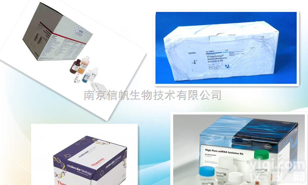 <em>抗坏血酸</em>(AsA)含量<em>试剂盒</em>