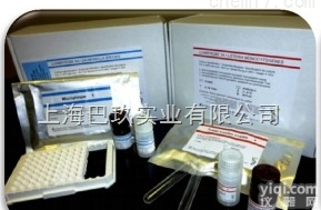 高品质氯霉素<em>试剂盒</em>  国产Elisa<em>试剂盒</em>   <em>试剂盒</em>厂家<em>直销</em>