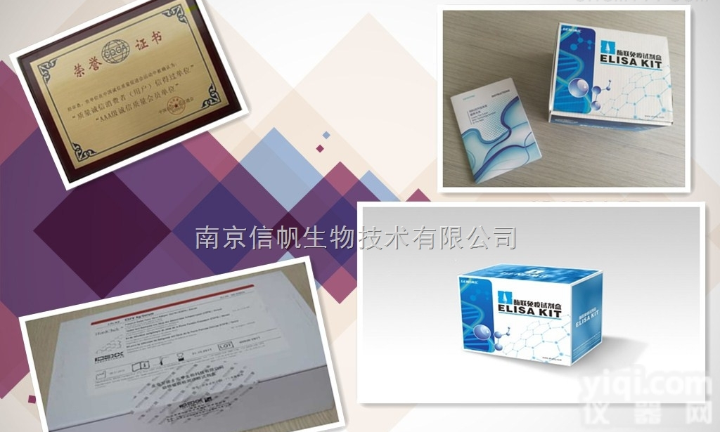 <em>去甲</em><em>肾上</em>腺素<em>放免</em>检测试剂盒