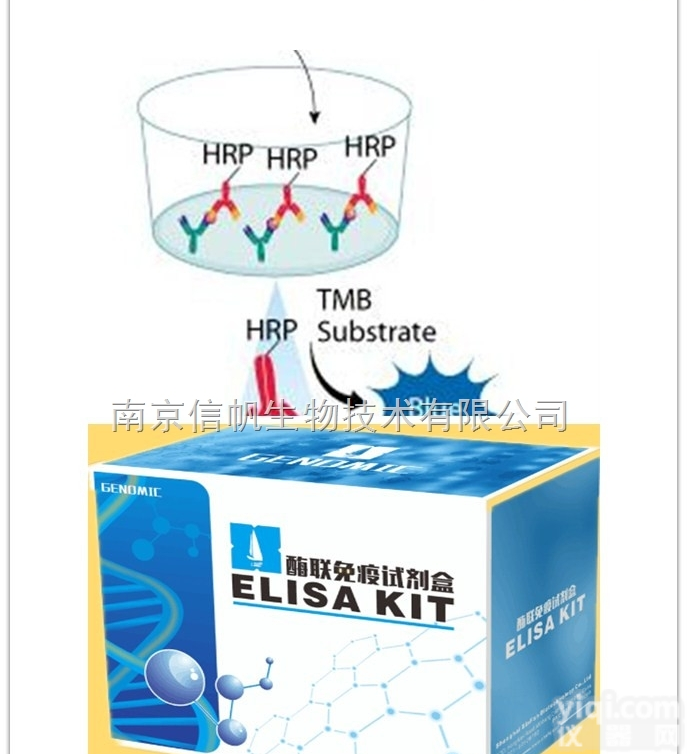 总<em>雌三醇</em>（E3）放免检测试剂盒