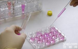 SigmaT9250 Thymidine胸腺<em>嘧啶</em>核苷1g<em>报价</em>