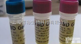 <em>ARHGDIA</em><em>抗体</em>