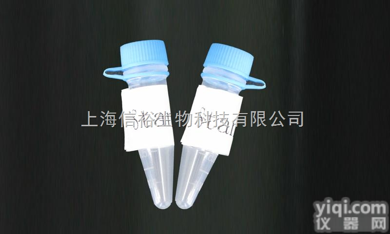 <em>血管</em><em>生成素</em>1(ANGPT1)重组<em>蛋白</em>