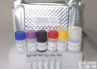 <em>厂家促销</em>大鼠铁蛋白(FE)<em>ELISA</em><em>试剂盒</em>