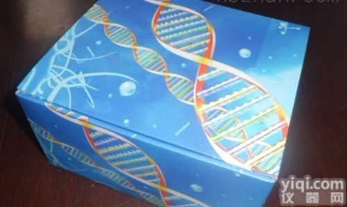 <em>小鼠</em><em>畸胎</em>瘤细胞/<em>小鼠</em><em>胚胎</em>癌细胞