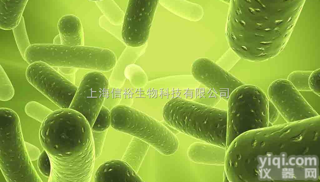 <em>鼠李糖</em>，分析<em>标准品</em>,HPLC≥98%