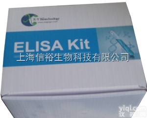IL-18<em>试剂盒</em>，大鼠<em>白细胞</em><em>介素</em>18检测<em>试剂盒</em>