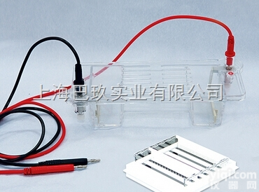 琼脂糖水平电泳仪DYCP-31DN <em>电泳设备</em>市场报价 水平电泳仪（槽）厂家