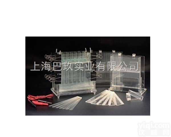 DYCZ-21型<em>多用</em>途<em>电泳仪</em>促销|<em>多用</em>途<em>电泳仪</em>价格|<em>电泳仪</em>厂家