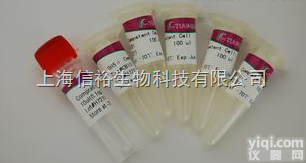 生物素<em>标记</em>的Oligo（dT）