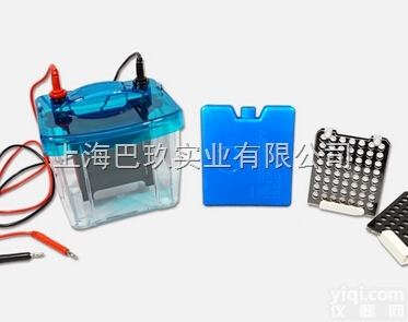 转印<em>电泳仪</em>报价|DYCZ-40D型迷你转印<em>电泳仪</em>(<em>小号</em>)|迷你<em>转移</em>槽厂家